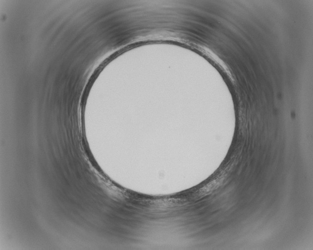 X0000069380988200606021602