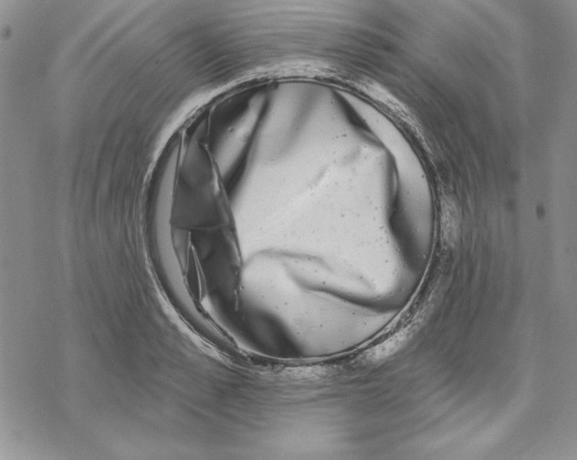 X0000069380989200606021602