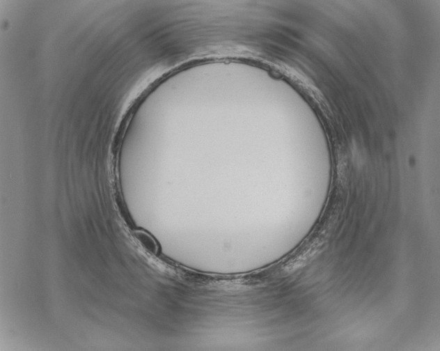 X0000069380990200606021602