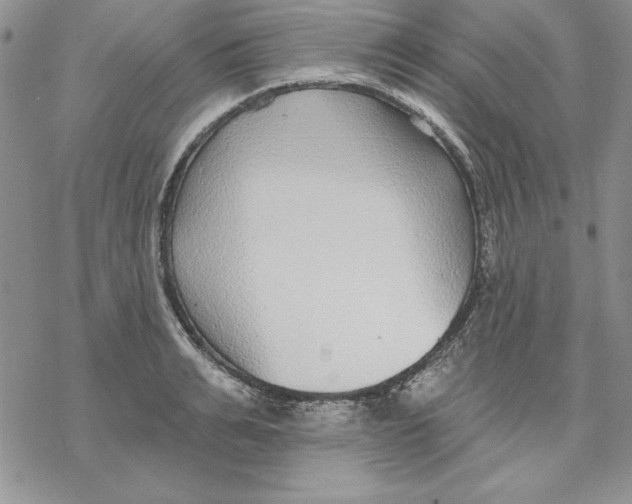 X0000069380991200606021602