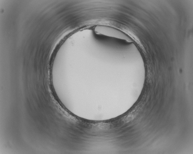 X0000069380992200606021602