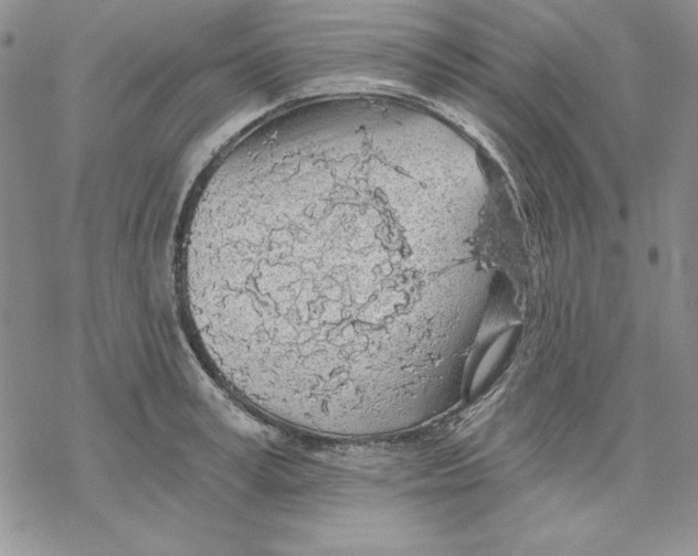 X0000069380995200606021602