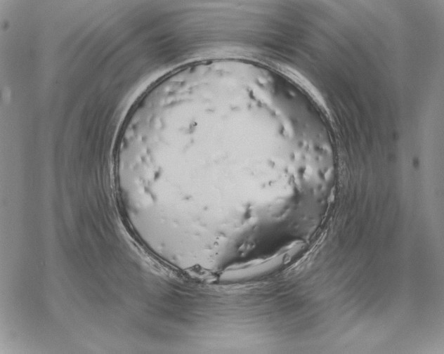 X0000069380996200606021602