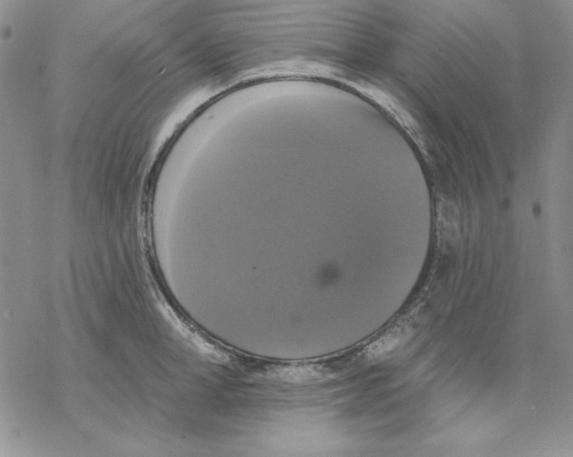 X0000069380998200606021602