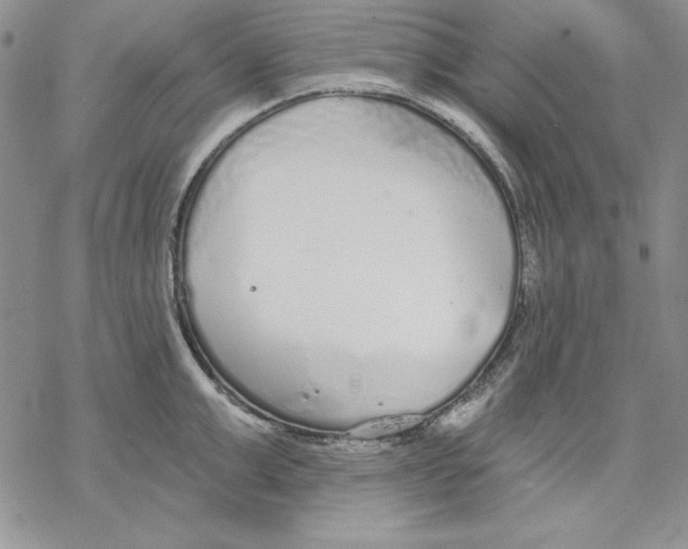 X0000069380999200606021602