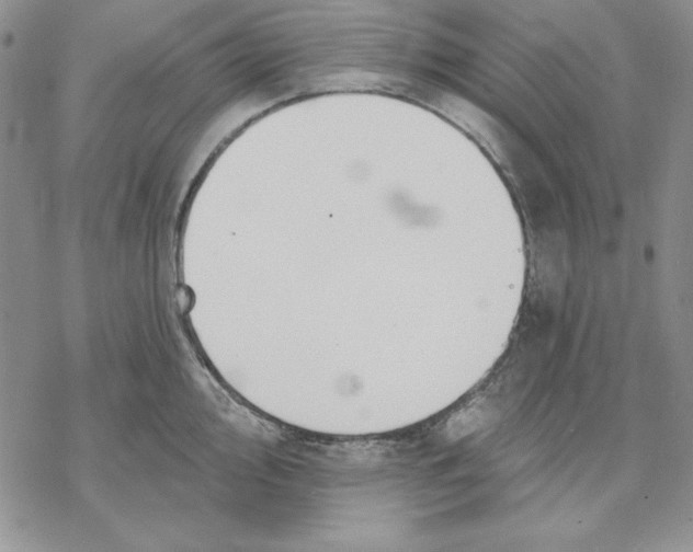 X0000069381000200606021602