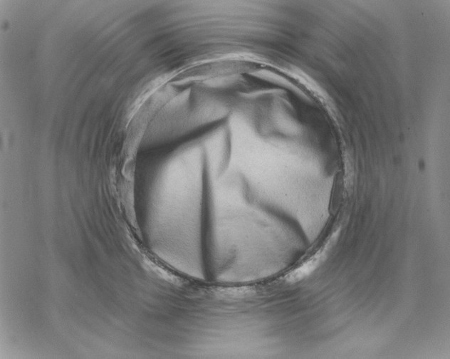 X0000069381001200606021602