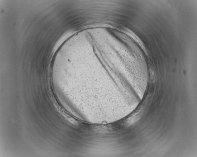 X0000069381002200606021602