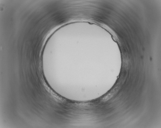 X0000069381004200606021602