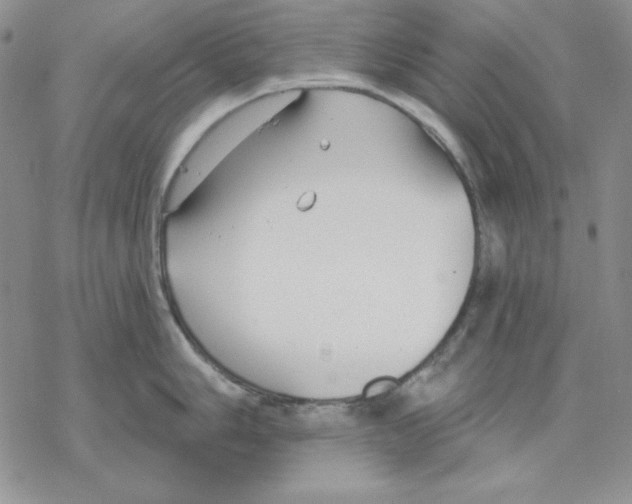 X0000069381006200606021602