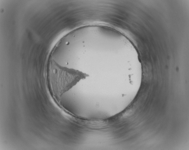 X0000069381007200606021602