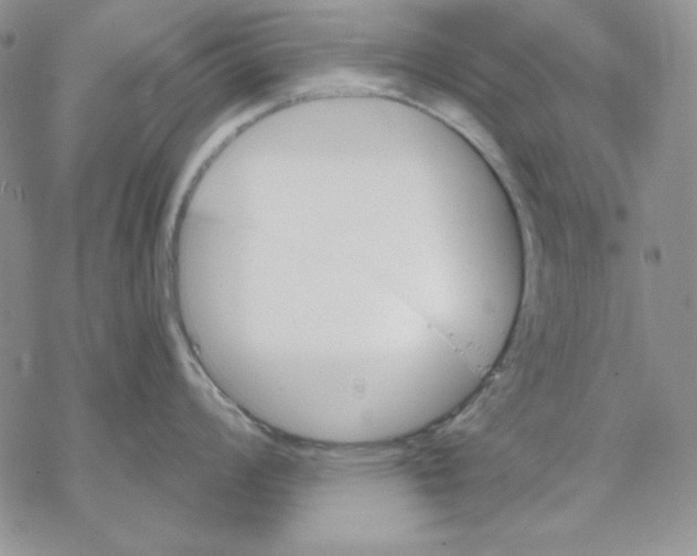 X0000069381008200606021602