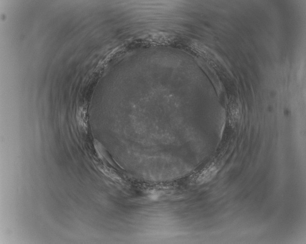 X0000069381010200606021601