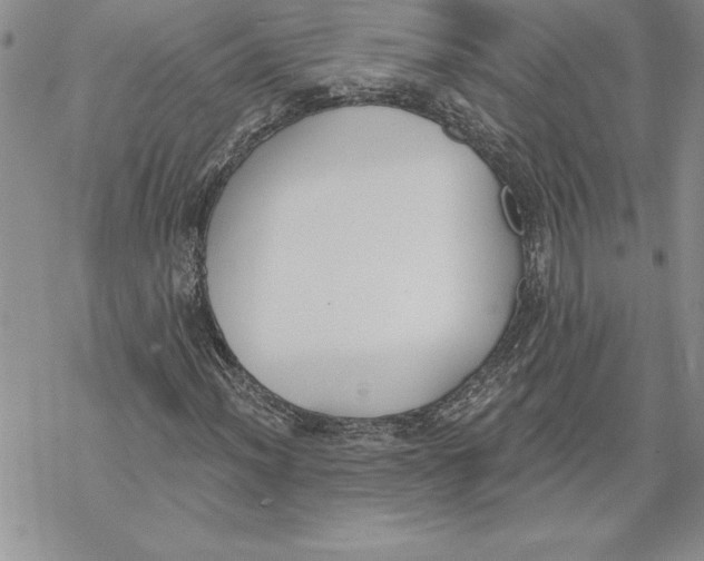 X0000069381012200606021601