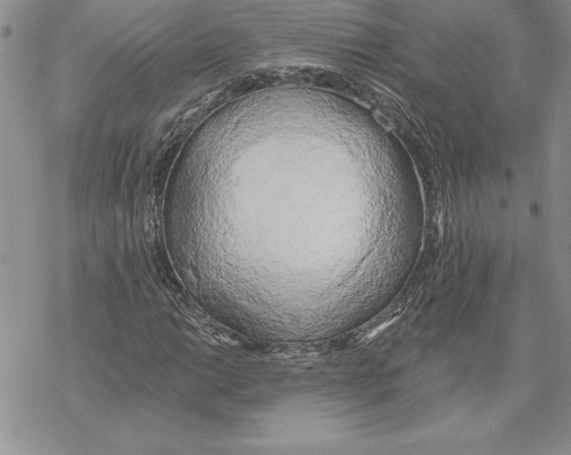 X0000069381014200606021601