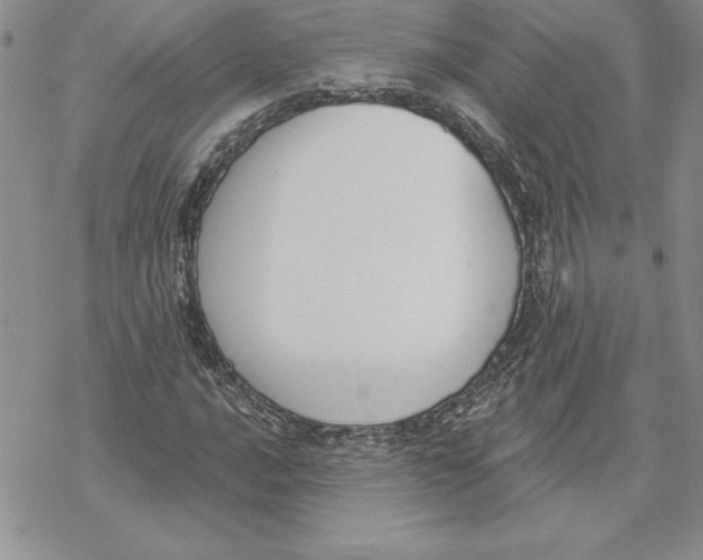 X0000069381016200606021601