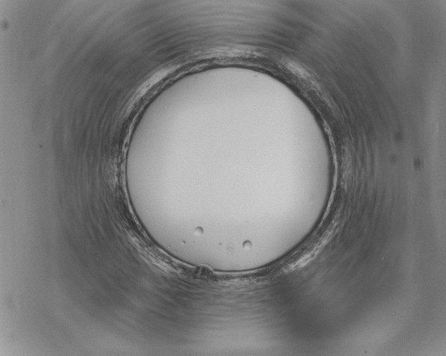 X0000069381017200606021601