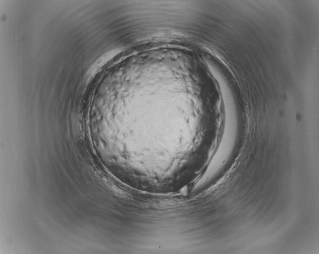 X0000069381018200606021601