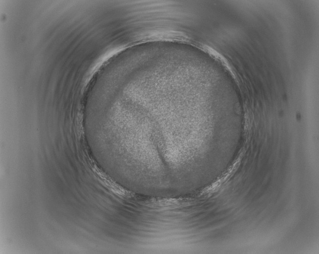 X0000069381019200606021601