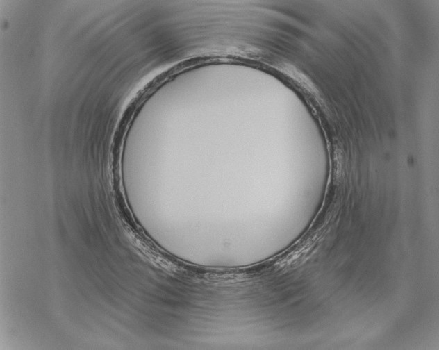 X0000069381020200606021601