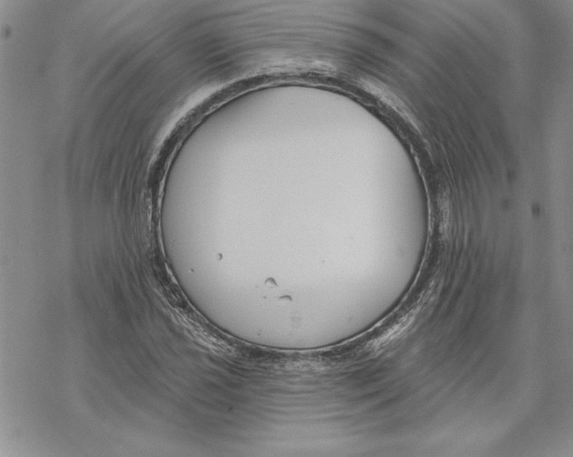 X0000069381021200606021601