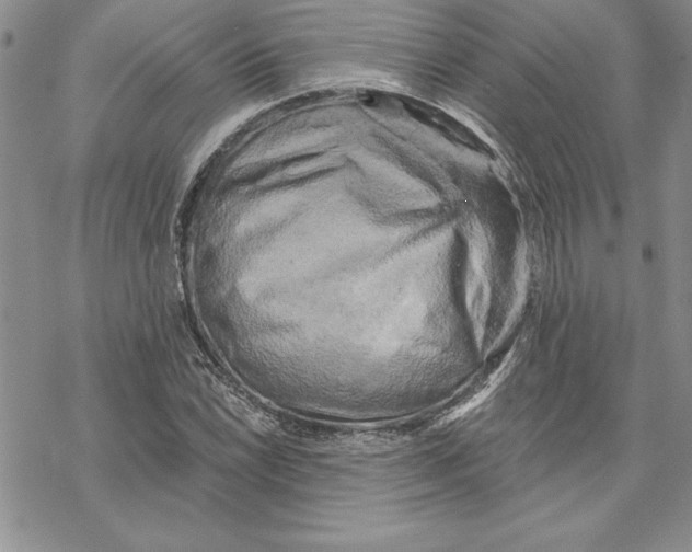 X0000069381022200606021601