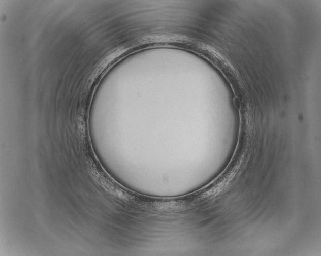 X0000069381025200606021601