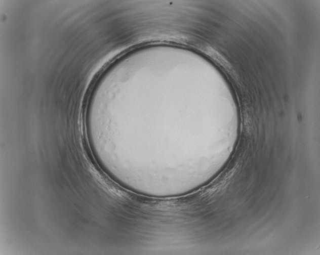 X0000069381028200606021601