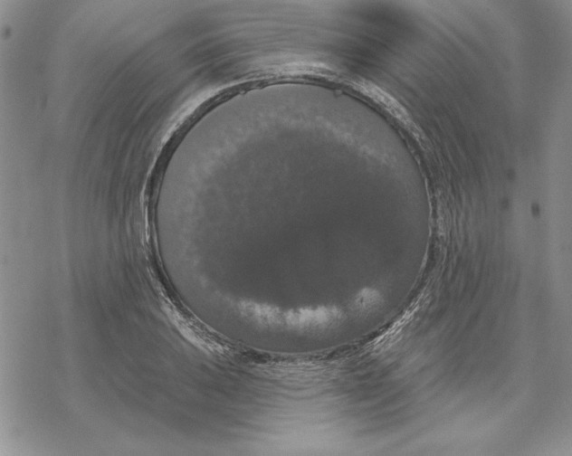 X0000069381031200606021601