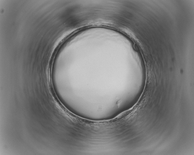 X0000069381032200606021601