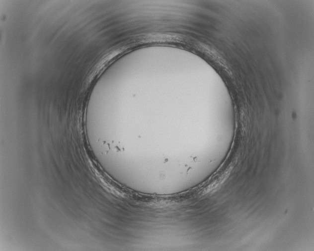 X0000069381033200606021601