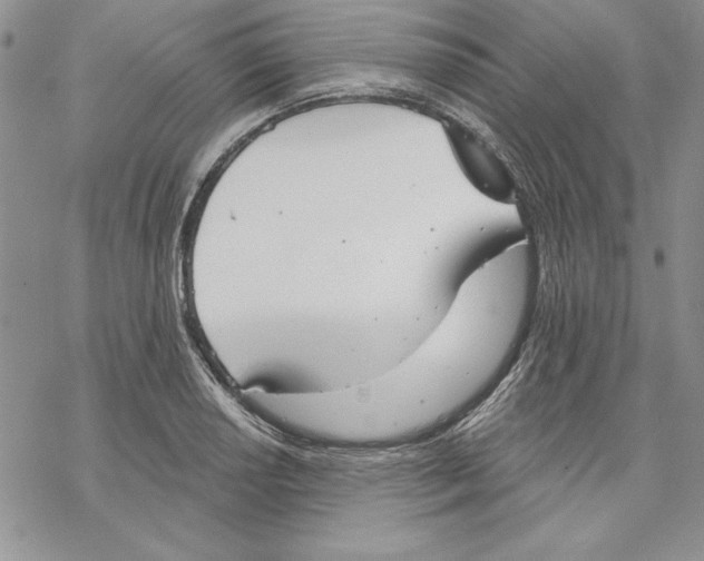 X0000069381034200606021601