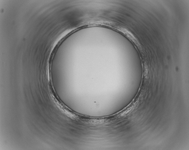 X0000069381036200606021602