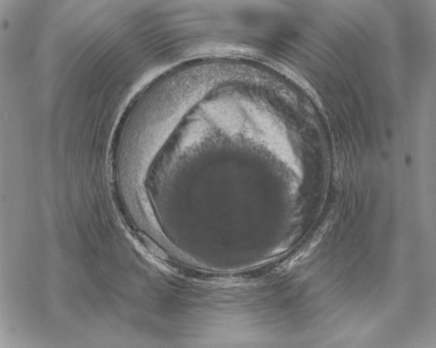 X0000069381037200606021602