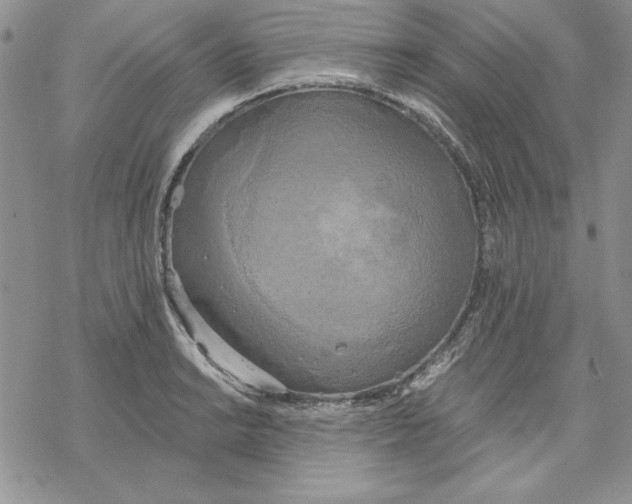 X0000069381038200606021602