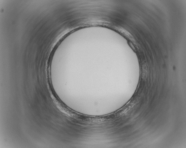 X0000069381039200606021602