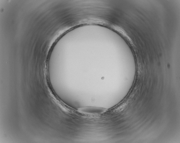 X0000069381040200606021602