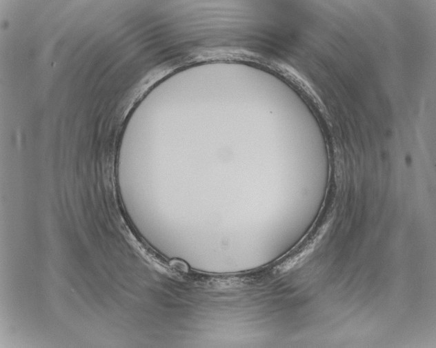 X0000069381041200606021602