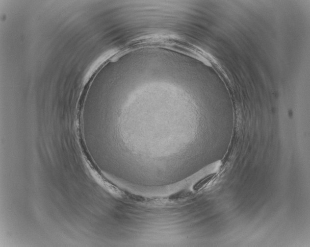 X0000069381042200606021602