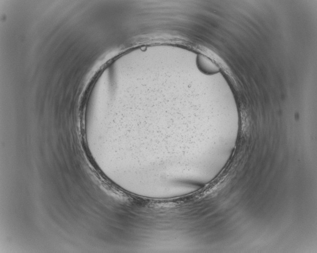 X0000069381043200606021602