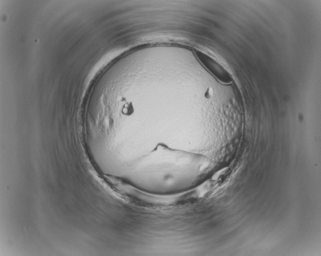 X0000069381045200606021602