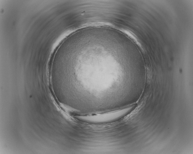 X0000069381046200606021602