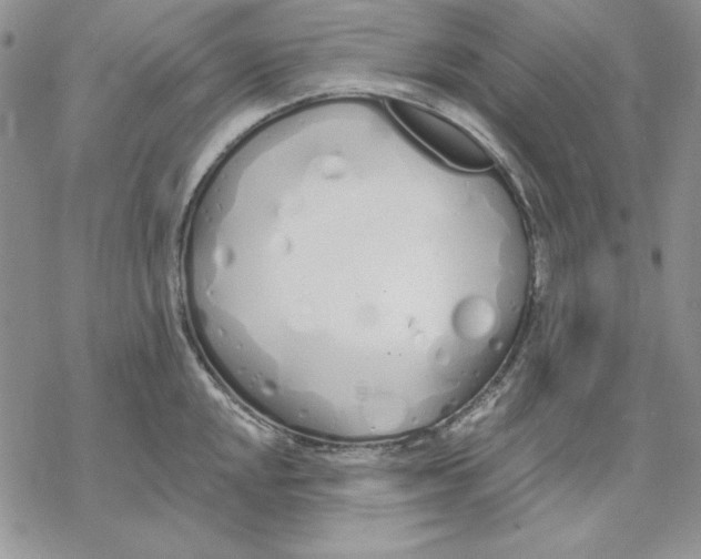 X0000069381048200606021602