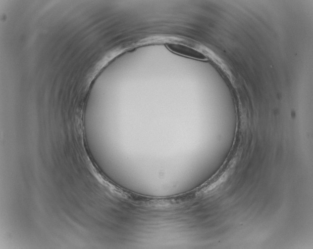 X0000069381049200606021602