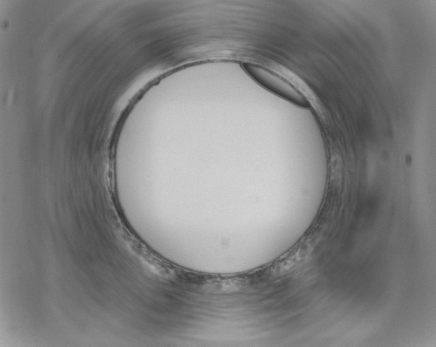 X0000069381051200606021602