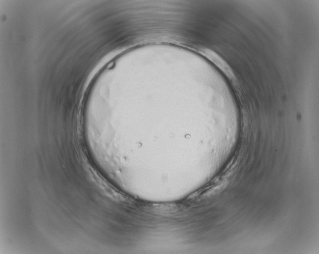 X0000069381052200606021602