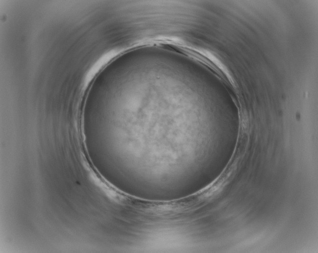 X0000069381054200606021602