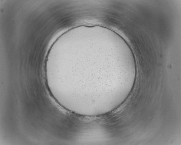 X0000069381056200606021602