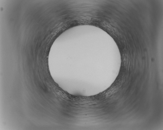 X0000069381057200606021601