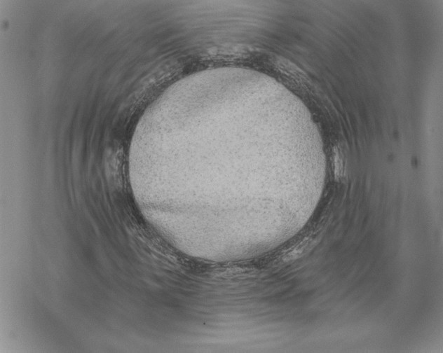 X0000069381059200606021601